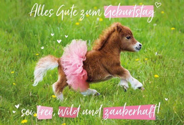 Geburtstag - Lustig