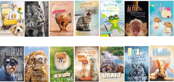 Sortiment Geburtstag - "3D" Tiere