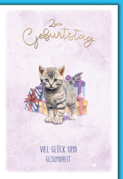 Geburtstag - Katze