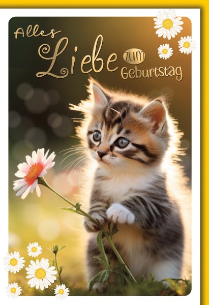 Geburtstag - Katze