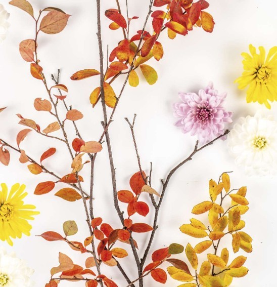 Serviette - Herbst
