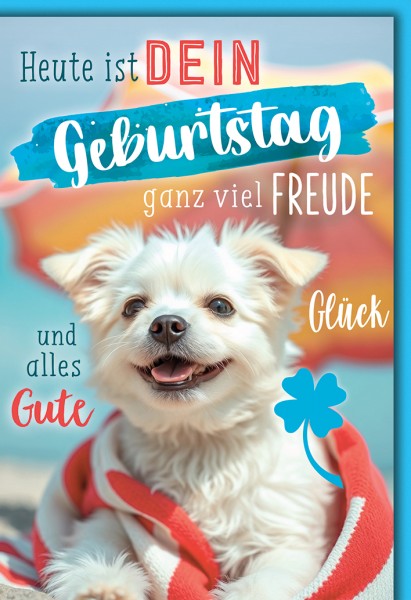 Geburtstag - Hund
