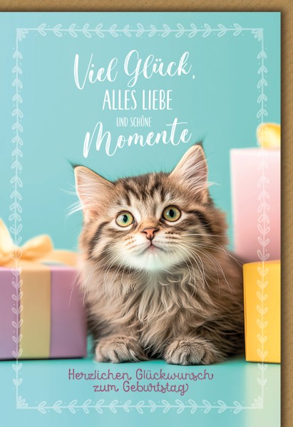 Geburtstag - Katze