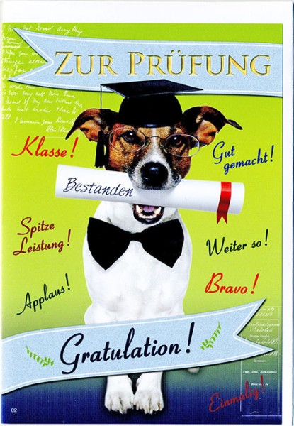 Allgemein - Prüfung