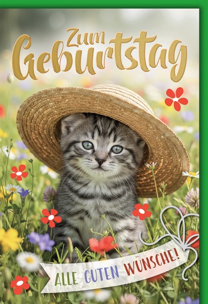 Geburtstag - Katze