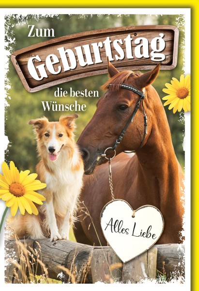 Geburtstag - Pferd