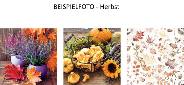 Servietten - Herbst