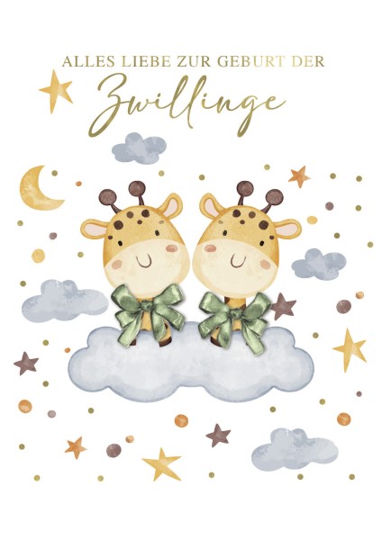 Geburt - Baby - Zwillinge