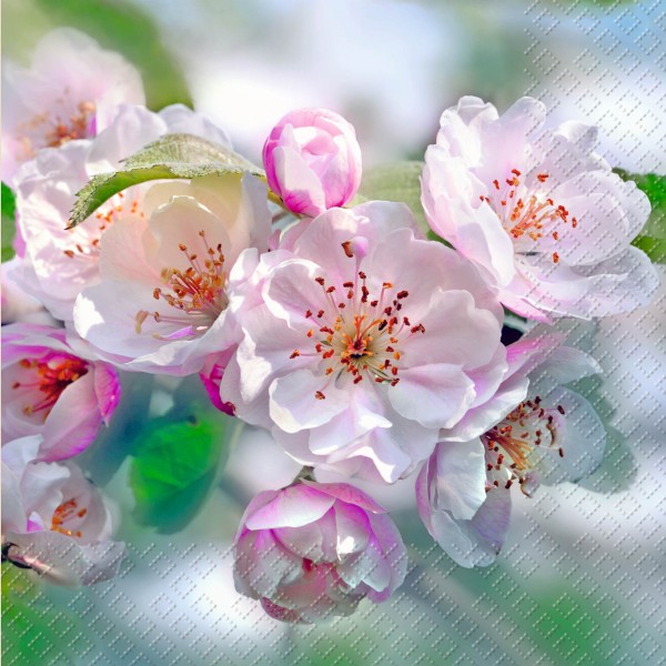 Serviette - Blume