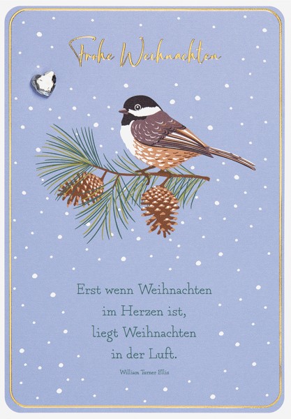 Weihnachten - Plastikfrei