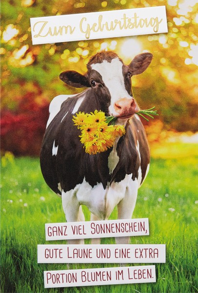 Geburtstag - Kuh