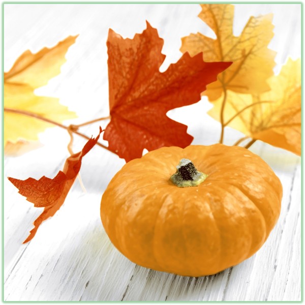 Serviette - XS - Cocktail Herbst