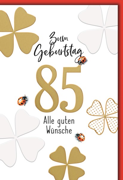 Zahlengeburtstag 85er