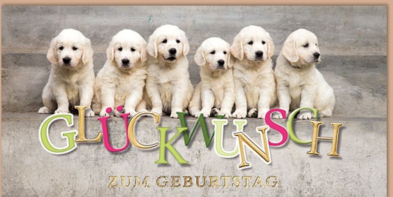 Geburtstag - Great Nature - Plastikfrei - langformat