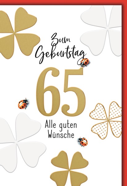 Zahlengeburtstag 65er