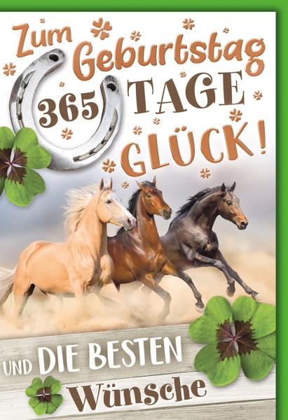 Geburtstag - Pferd