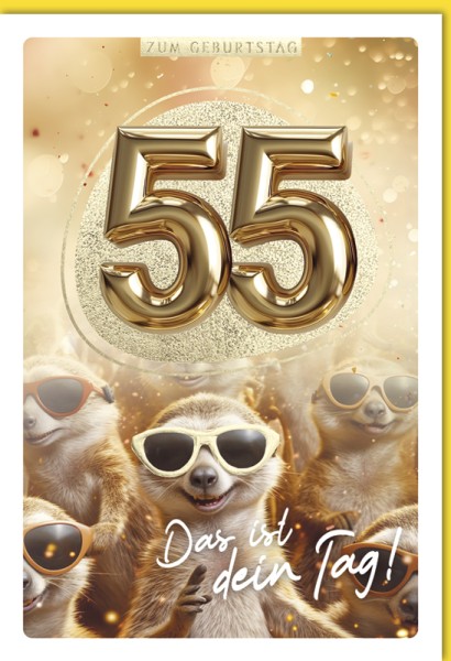 Zahlengeburtstag 55er
