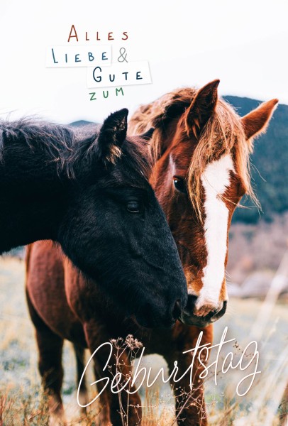 Geburtstag - Pferd