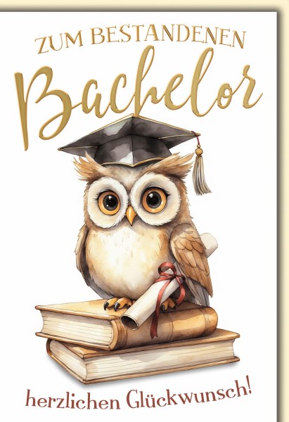 Allgemein - Bachelor