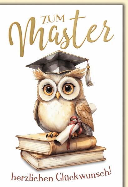 Allgemein - Master