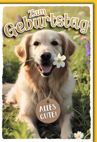 Geburtstag - Hund