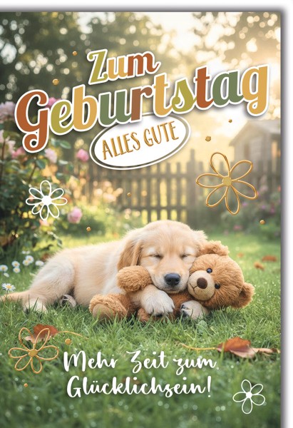 Geburtstag - Hund