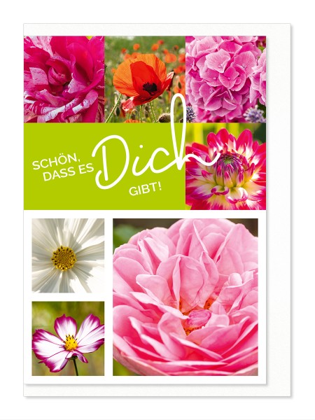 Allgemeine Wünsche