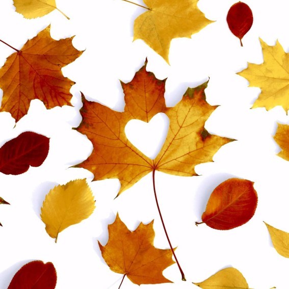 Serviette - Herbst