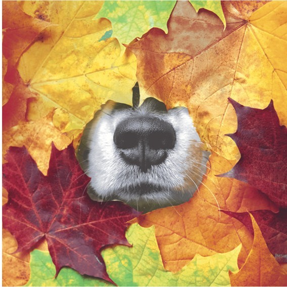 Serviette - Herbst