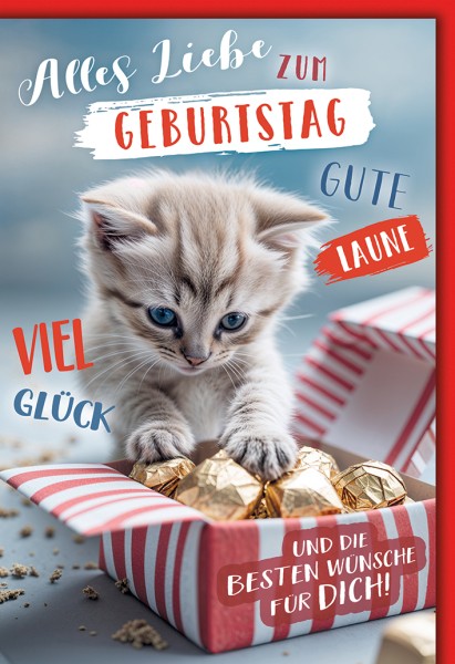 Geburtstag - Katze
