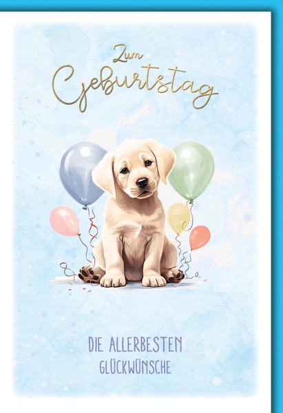 Geburtstag - Hund