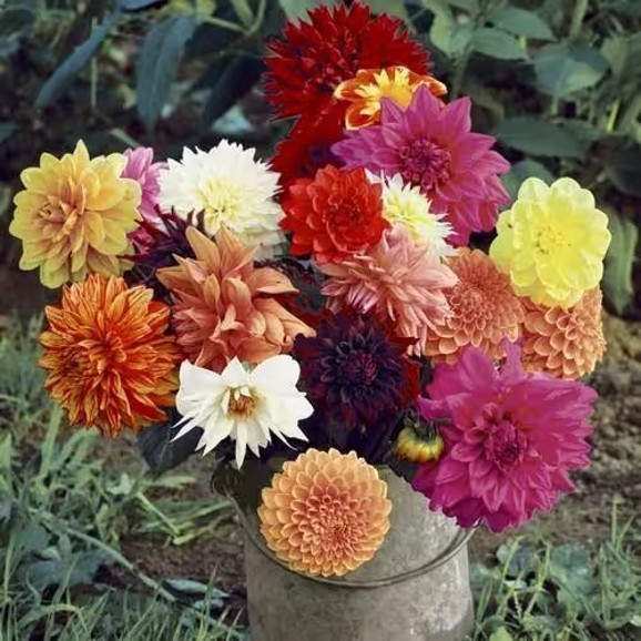 Serviette - Herbst
