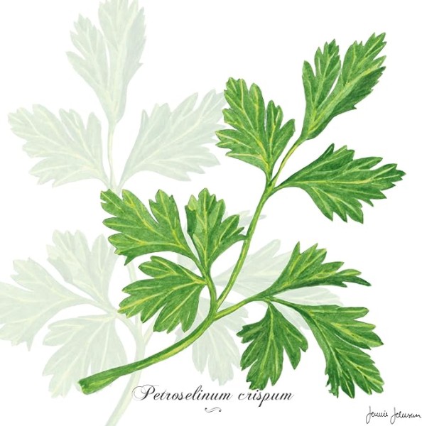 Serviette - Essen Petersilie