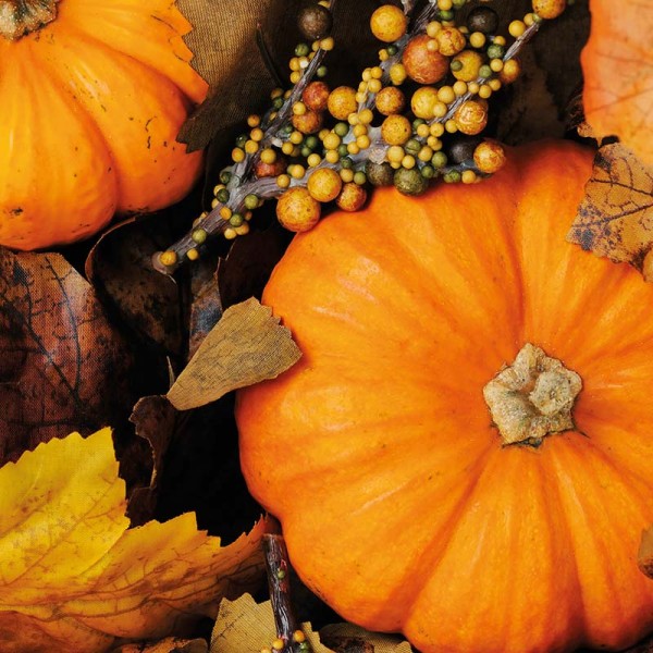 Serviette - Herbst