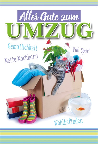 Allgemein - Umzug